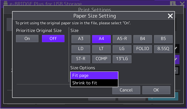 Page size and fit to page options