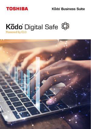 Download Digital Safe brochure