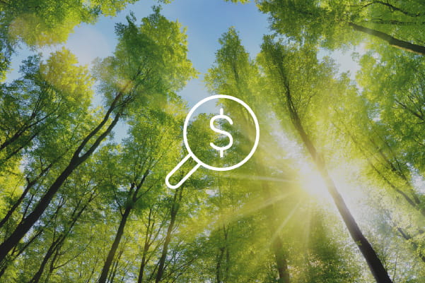 cost environment